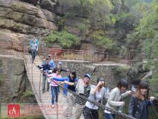 鼎力员工风采