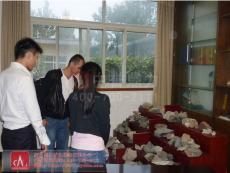 观摩原料样品