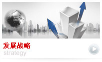 发展战略