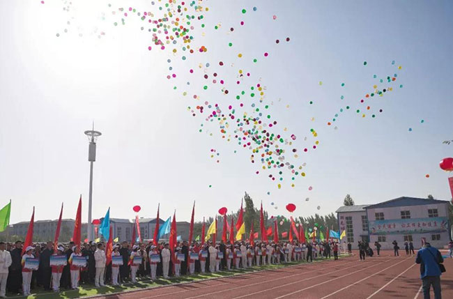 卫辉市民运动会开幕仪式