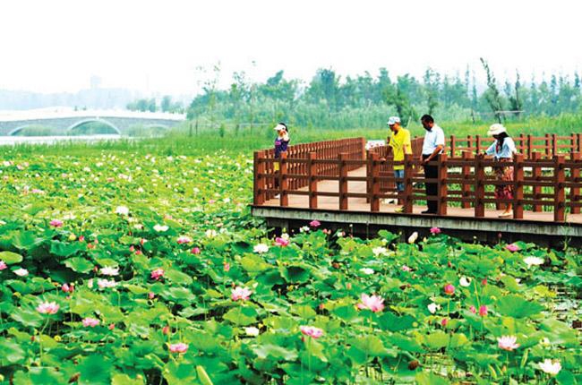 潘安湖实地公园