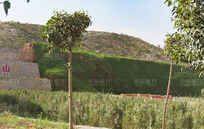 绿色矿山怎么建？中誉鼎力多地打造绿色环保砂石厂